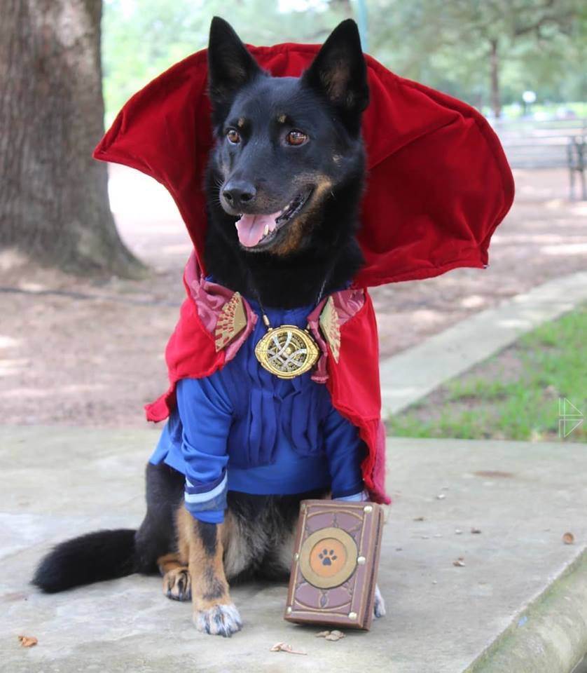 มะหมา Superhero
