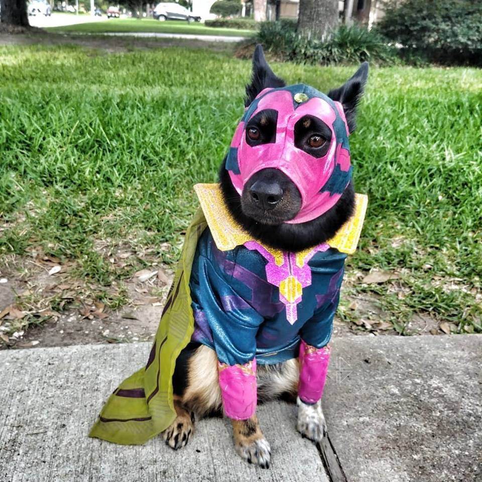 มะหมา Superhero