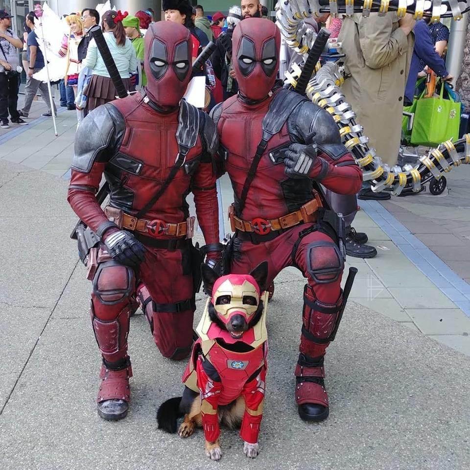 มะหมา Superhero