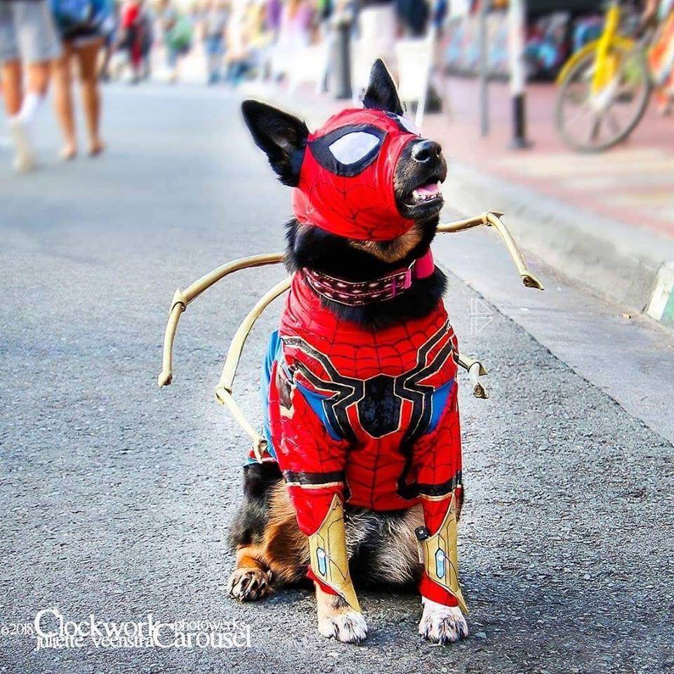 มะหมา Superhero