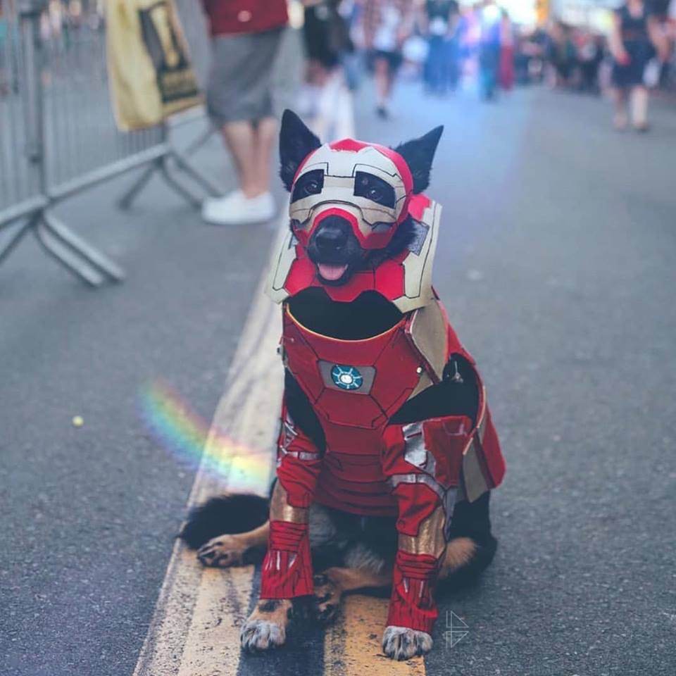 มะหมา Superhero