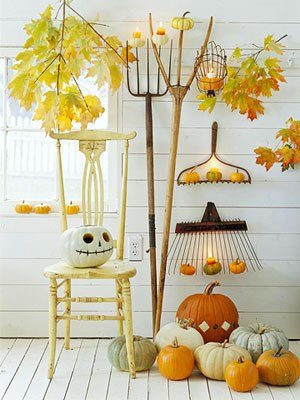 Beautiful flowers