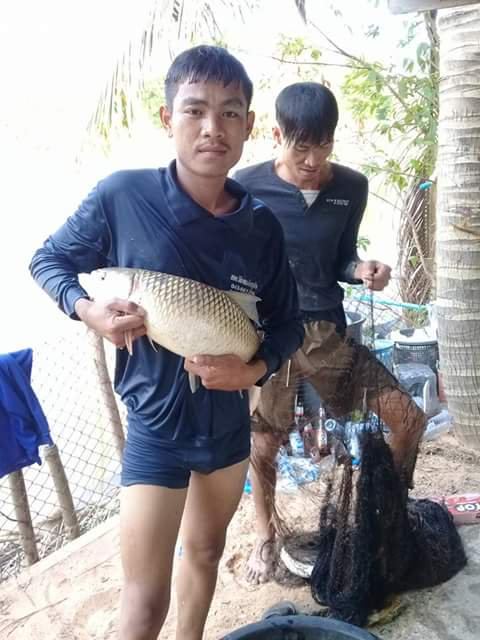 ดีต่อใจ#733จับปลากัน..