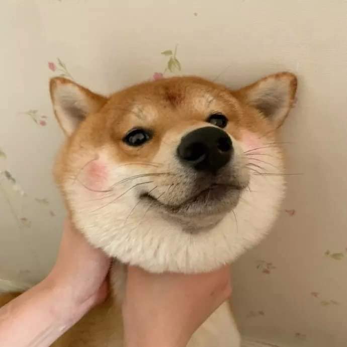 ฆ่าให้ตายซะดีมั้ย >:(