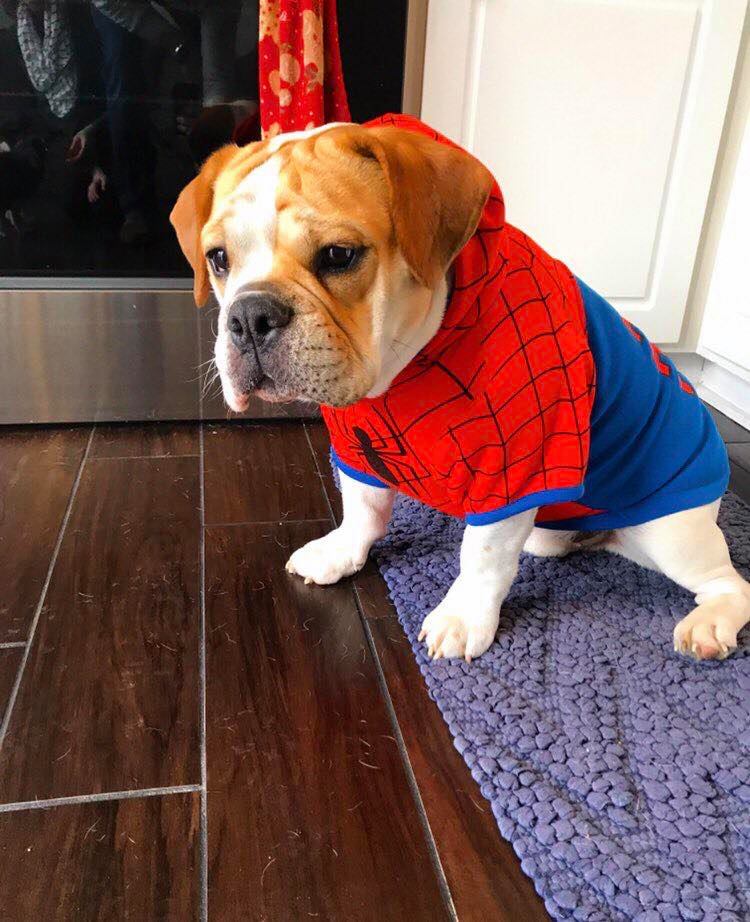 ไปดู spiderman ยัง?