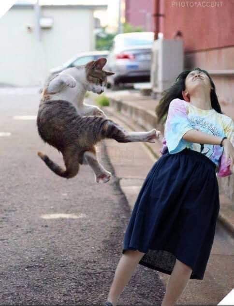 Funny sunday