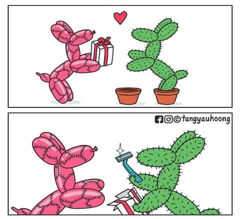Funny sunday II