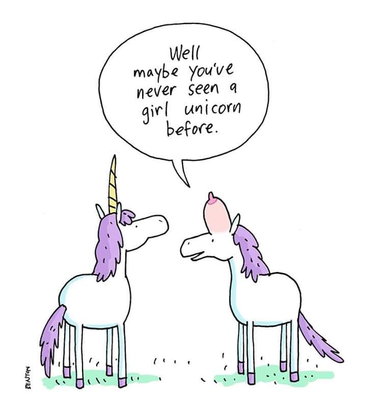 Funny sunday II