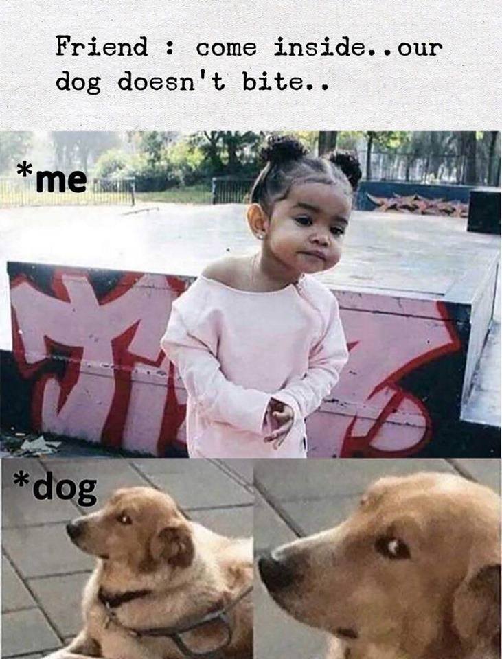 Funny sunday II
