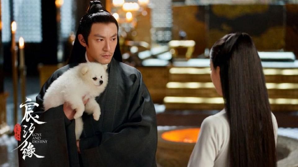 ละคร ชะตาแห่งรัก Love and destiny《宸汐缘》 2019