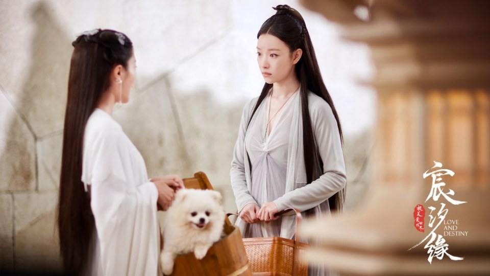 ละคร ชะตาแห่งรัก Love and destiny《宸汐缘》 2019 2