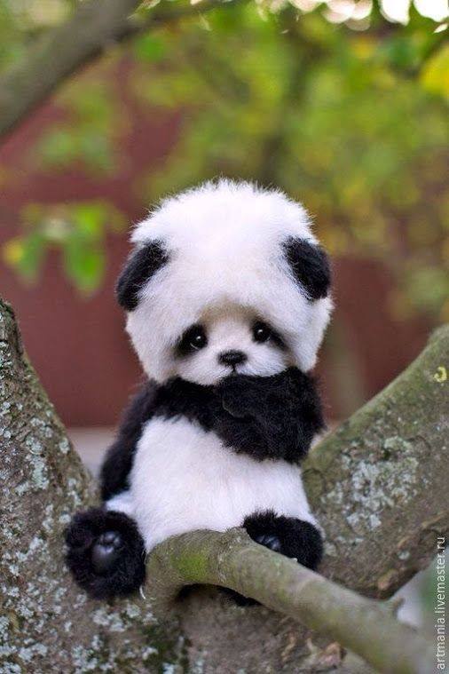 Cubs doll