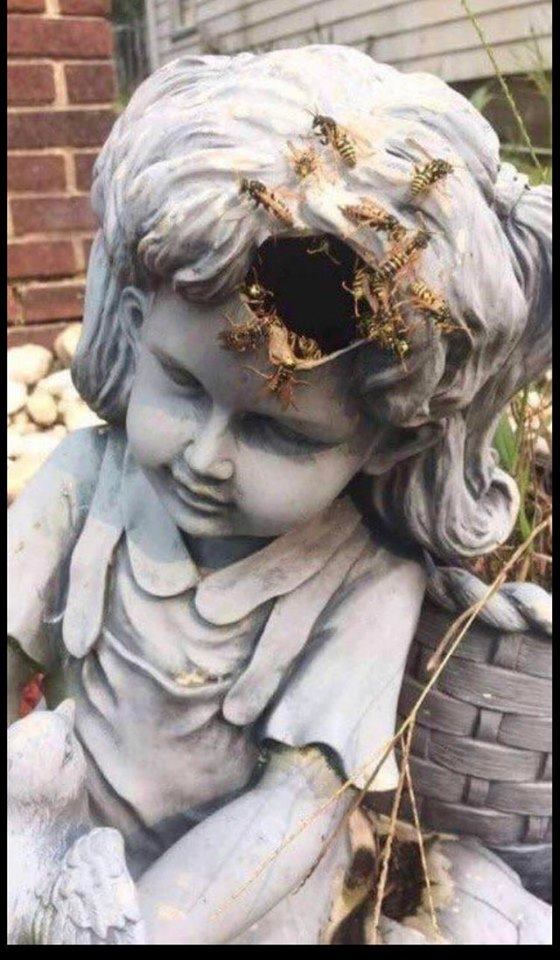 Scary Photos