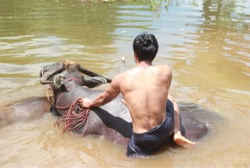หนุ่มบ้านนา...โคตรแซ่บ