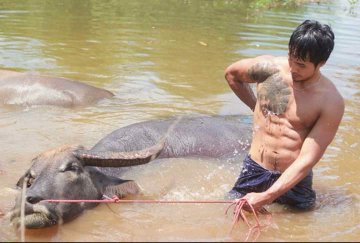 หนุ่มบ้านนา...โคตรแซ่บ