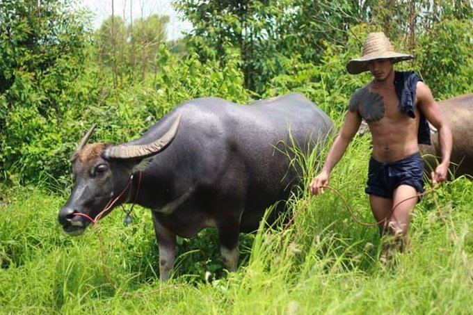 หนุ่มบ้านนา...โคตรแซ่บ
