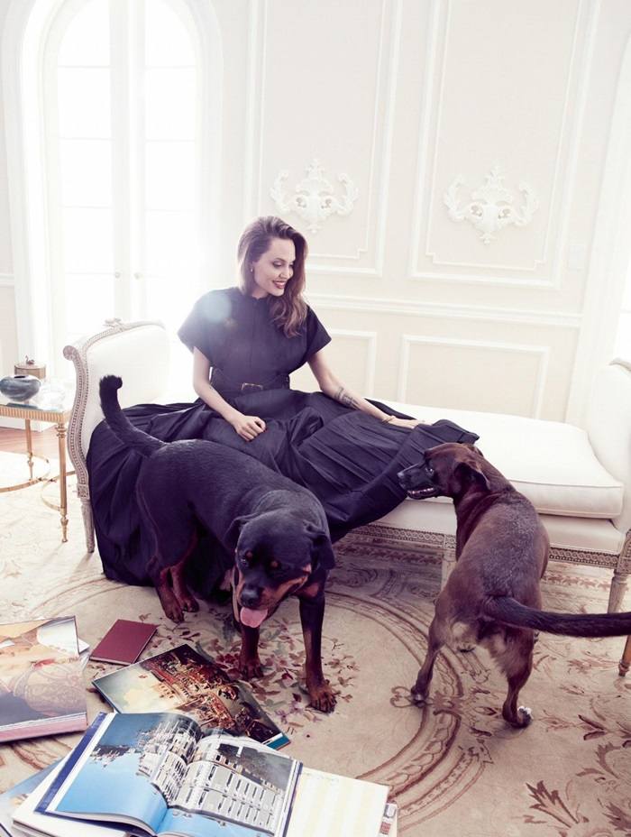 Angelina Jolie @ Elle US September 2019
