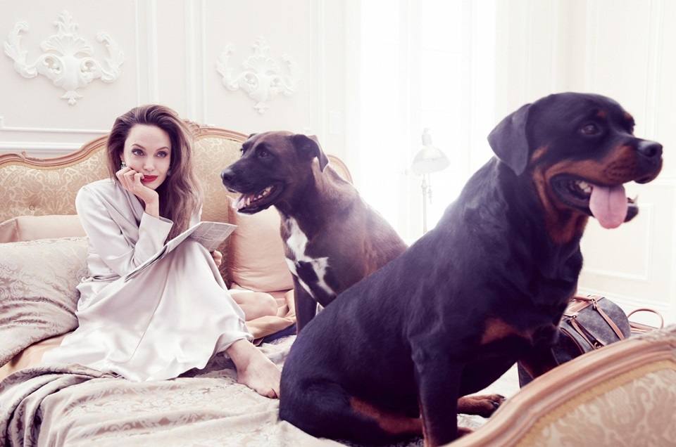 Angelina Jolie @ Elle US September 2019