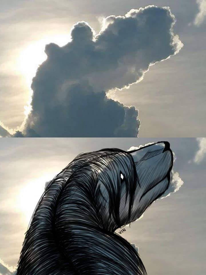 Imagination