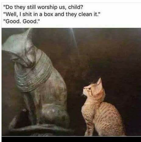 Funny pictures