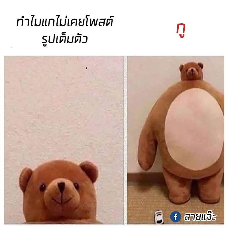 Funny pictures