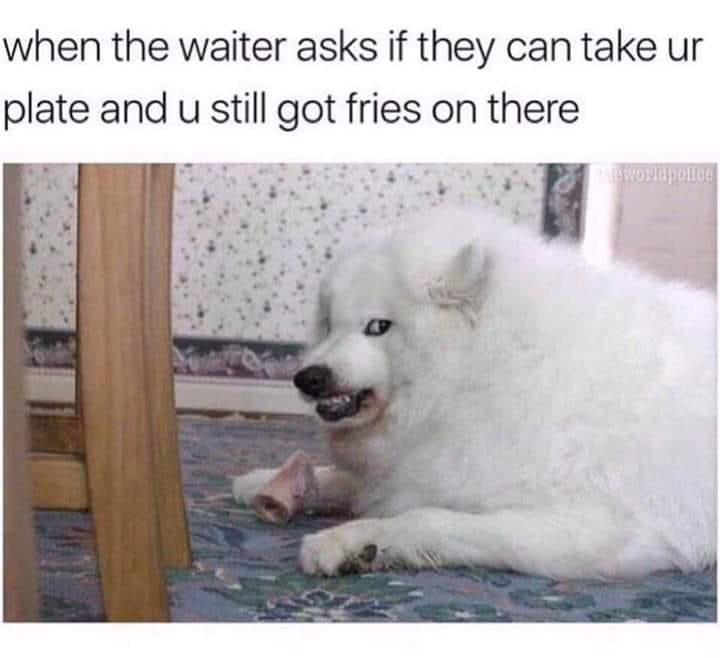 Funny pictures II