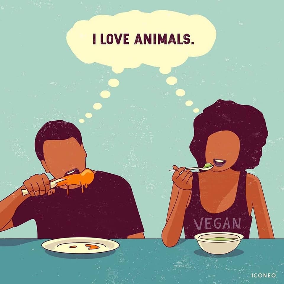 Clever illustrations by Steffen Kraft