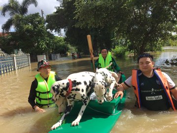 น้ำท่เมืองอุบลราชธานี 2562