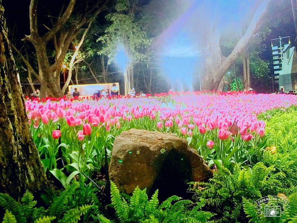 ความงามของธรรมชาติ