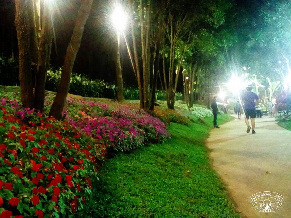 ความงามของธรรมชาติ