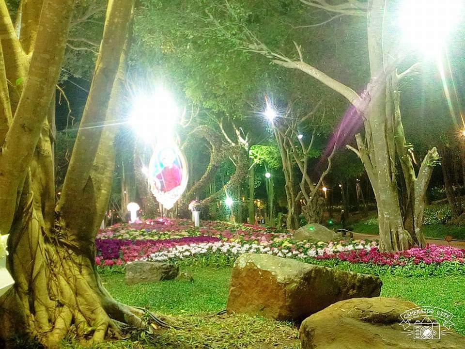 ความงามของธรรมชาติ