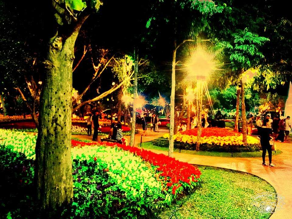 ความงามของธรรมชาติ