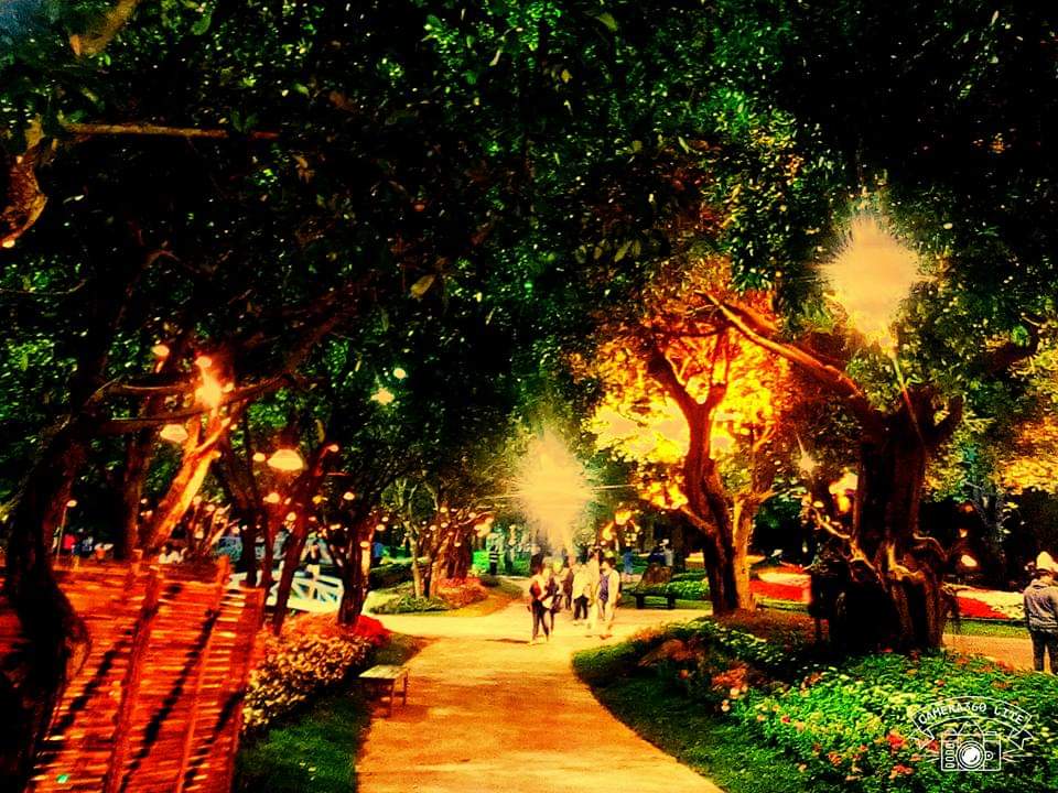 ความงามของธรรมชาติ