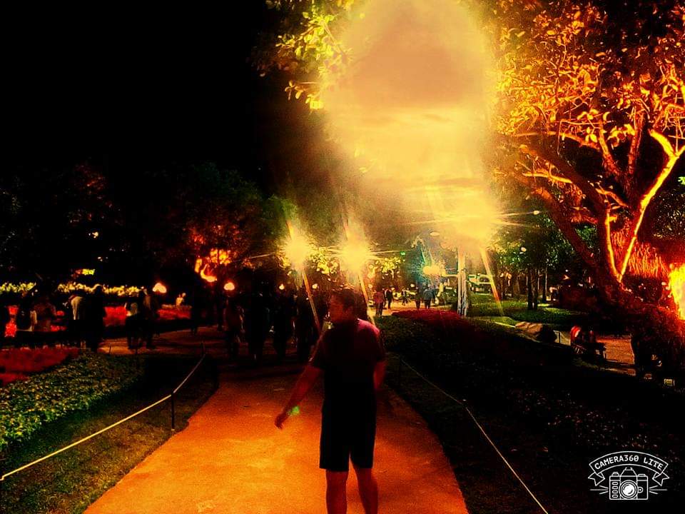 ความงามของธรรมชาติ