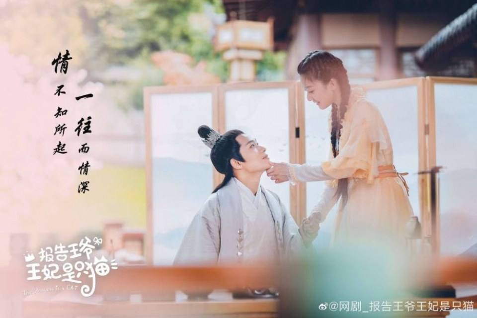 ละคร องค์หญิงแมวเหมียว The Princess is a Cat 《报告王爷王妃是只猫》 2019