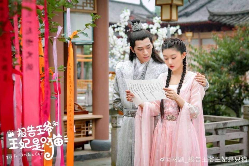 ละคร องค์หญิงแมวเหมียว The Princess is a Cat 《报告王爷王妃是只猫》 2019