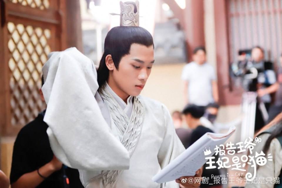 ละคร องค์หญิงแมวเหมียว The Princess is a Cat 《报告王爷王妃是只猫》 2019