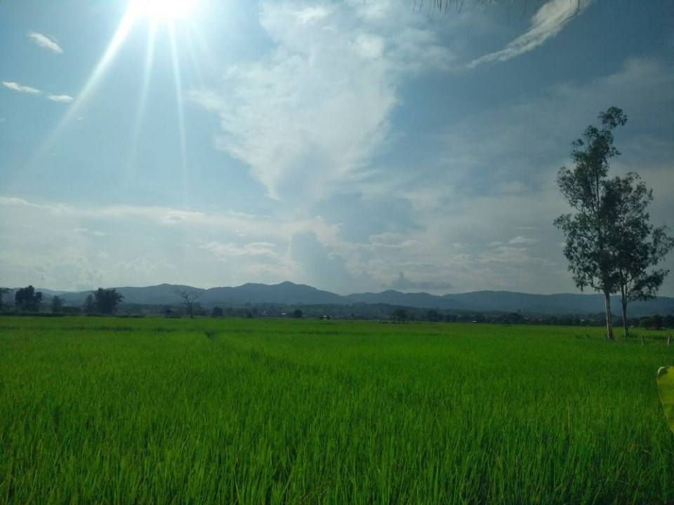 เวียงป่าเป้า