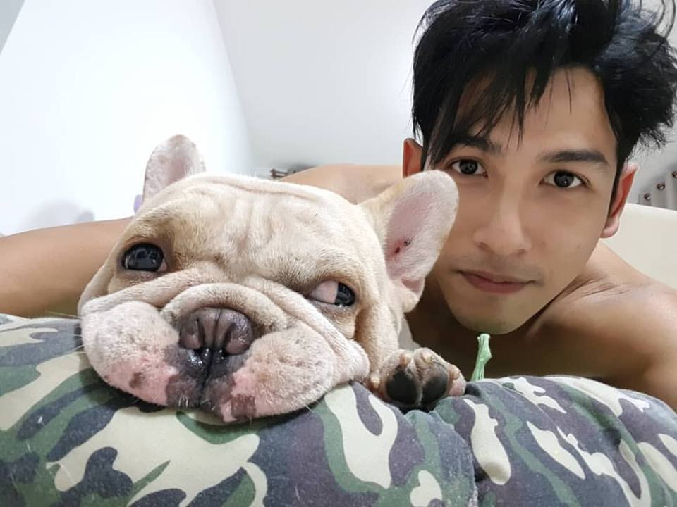 (สติปัฏฐาน4) พิจารณากาย ไม่ให้หลงในความหล่อความน่ารักดูเป็นอสุภะดับกามราคะเพื่อละตัวกูของกู : 13