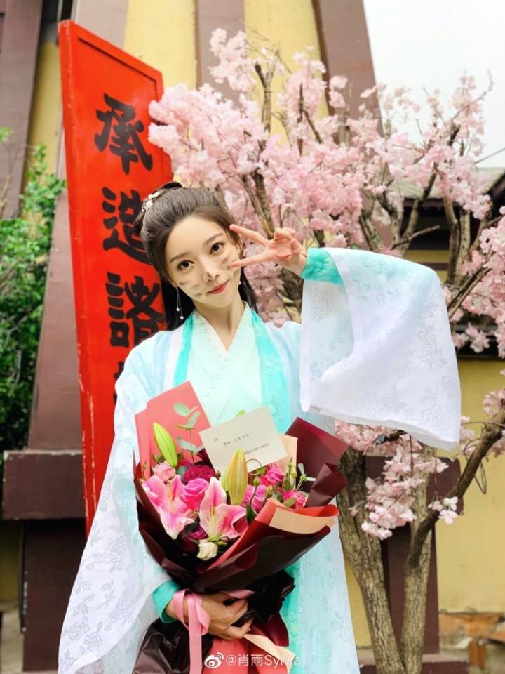ละคร ฮูหยินน้อย The young lady of the General&rsquo;s house 《将军家的小娘子》 2019