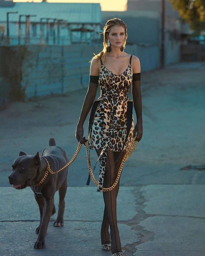 Rosie Huntington Whiteley @ Harper's Bazaar Greece December 2019