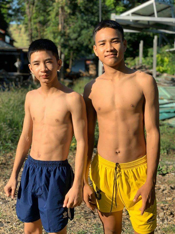 ฟิน ฟิน ฟิน