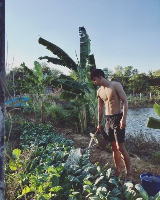 male body 205