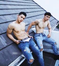 ช่วง..ฤดูผสมพันธ์