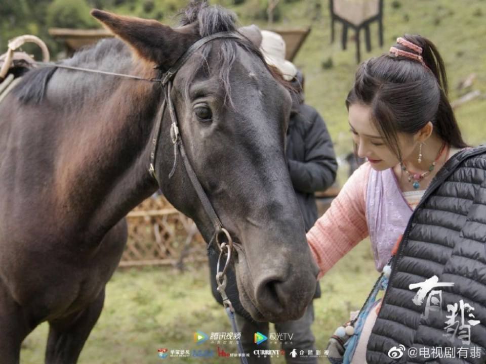 ละคร โหยวเฟ่ย You Fei 《有翡》 2019