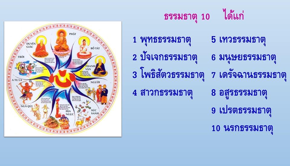 ภาพบุญ 13