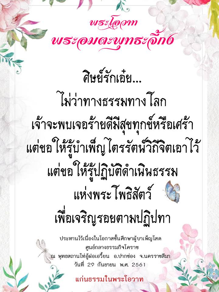 ภาพบุญ 41