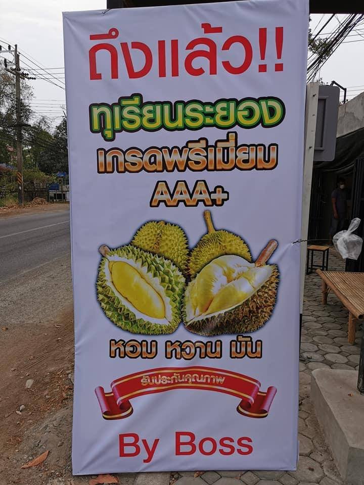 ขายทุเรียนให้แซ่บ