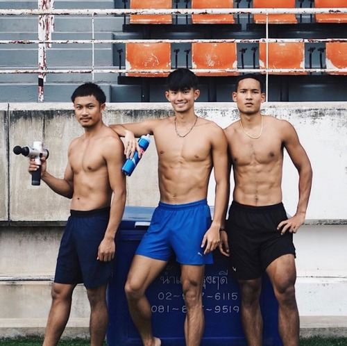 male body 231