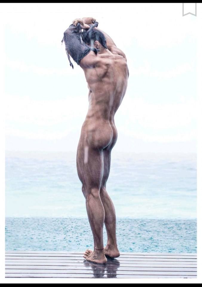 male body 231
